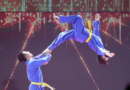 Vovinam Việt Võ Đạo được công nhận là di sản văn hóa phi vật thể quốc gia