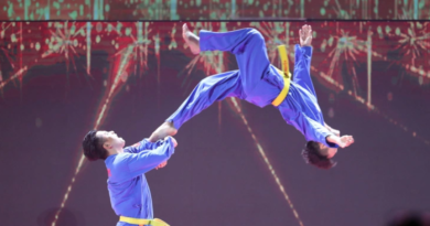 Vovinam Việt Võ Đạo được công nhận là di sản văn hóa phi vật thể quốc gia